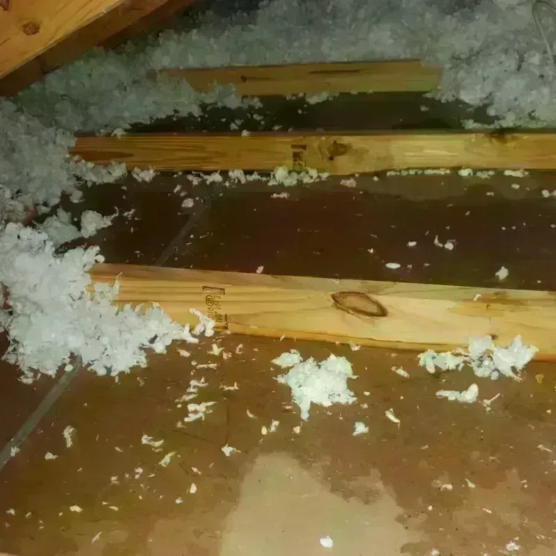 Attic Water Damage in Christiansburg, VA